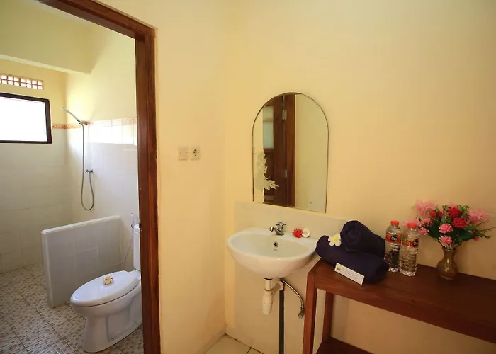 Lovina Hotel 3*