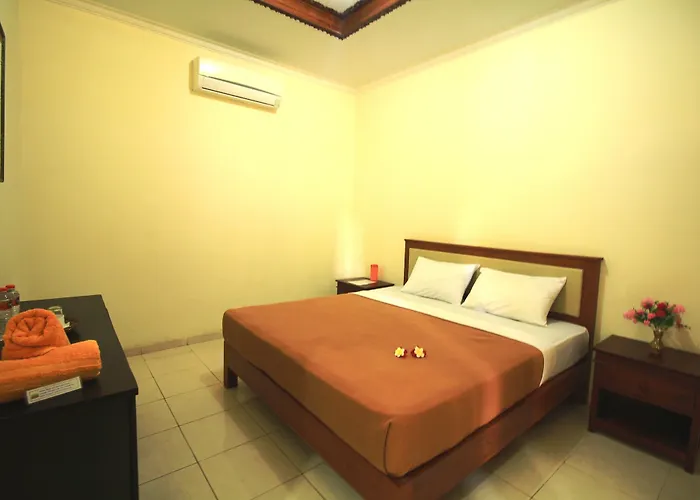Lovina Hotel 3*
